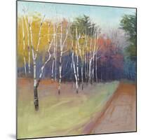 County Road-David Skinner-Mounted Giclee Print