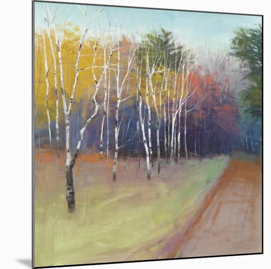 County Road-David Skinner-Mounted Giclee Print