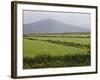 County Wicklow, Leinster, Republic of Ireland (Eire)-Sergio Pitamitz-Framed Photographic Print