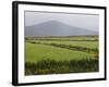 County Wicklow, Leinster, Republic of Ireland (Eire)-Sergio Pitamitz-Framed Photographic Print