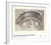 Coup D'oeil du Theatre De Besancon-Claude-Nicolas Ledoux-Framed Art Print