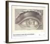 Coup D'oeil du Theatre De Besancon-Claude-Nicolas Ledoux-Framed Art Print