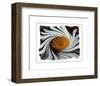 Coup de Foudre IV-Giancarlo Riboli-Framed Art Print