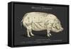 Coupe Du Porc-Tina Carlson-Framed Stretched Canvas