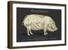 Coupe Du Porc-Tina Carlson-Framed Art Print