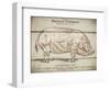 Coupe Du Porc-Tina Carlson-Framed Art Print