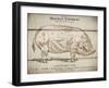 Coupe Du Porc-Tina Carlson-Framed Art Print