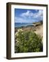 Coupecoy Beach-Guido Cozzi-Framed Photographic Print