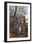 Black Frame