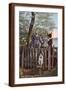 Brown Frame