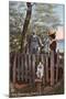Wood Mount