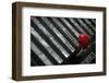 Couple Crosses Street under Red Umbrella as Heavy Rain Pours During Presidential Elections-Radu Sigheti-Framed Photographic Print