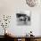 Couple Dancing to Bill Gregory's Band. August 1958-Staff-Photographic Print displayed on a wall