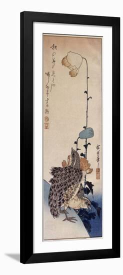 Couple de cailles et coquelicots-Ando Hiroshige-Framed Premium Giclee Print