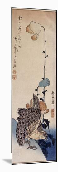 Couple de cailles et coquelicots-Ando Hiroshige-Mounted Premium Giclee Print