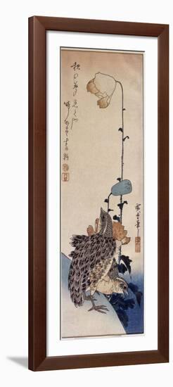 Couple de cailles et coquelicots-Ando Hiroshige-Framed Premium Giclee Print