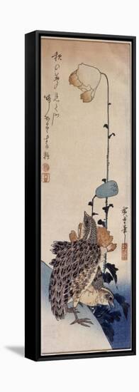 Couple de cailles et coquelicots-Ando Hiroshige-Framed Stretched Canvas