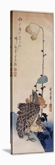 Couple de cailles et coquelicots-Ando Hiroshige-Stretched Canvas