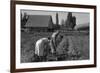 Couple Digging their Sweet Potatoes-Dorothea Lange-Framed Art Print