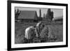 Couple Digging their Sweet Potatoes-Dorothea Lange-Framed Art Print