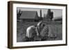 Couple Digging their Sweet Potatoes-Dorothea Lange-Framed Art Print