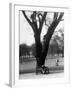 Couple Embracing in a Passionate Moment on the Bench in Hyde Park-Cornell Capa-Framed Photographic Print