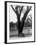 Couple Embracing in a Passionate Moment on the Bench in Hyde Park-Cornell Capa-Framed Photographic Print