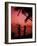 Couple Enjoying a Romantic Sunset on the Beach-Bill Bachmann-Framed Photographic Print