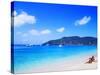 Couple Enjoying Princess Margaret Beach in Bequia, Grenadines-Bill Bachmann-Stretched Canvas