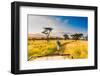 Couple enjoying view at a safari camp, Zululand, South Africa-Laura Grier-Framed Photographic Print