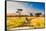 Couple enjoying view at a safari camp, Zululand, South Africa-Laura Grier-Framed Stretched Canvas