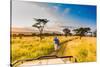 Couple enjoying view at a safari camp, Zululand, South Africa-Laura Grier-Stretched Canvas