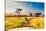 Couple enjoying view at a safari camp, Zululand, South Africa-Laura Grier-Stretched Canvas