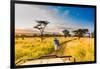 Couple enjoying view at a safari camp, Zululand, South Africa-Laura Grier-Framed Photographic Print