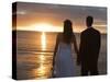 Couple Hand in Hand Watch Sun Set from Beach, Kingfisher Bay, Fraser Island, Queensland, Australia-Andrew Watson-Stretched Canvas