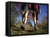 Couple Hiking During Autumn-null-Framed Stretched Canvas