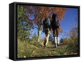 Couple Hiking During Autumn-null-Framed Stretched Canvas