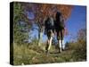 Couple Hiking During Autumn-null-Stretched Canvas