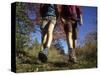 Couple Hiking During Autumn-null-Stretched Canvas