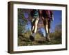 Couple Hiking During Autumn-null-Framed Photographic Print