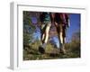 Couple Hiking During Autumn-null-Framed Photographic Print