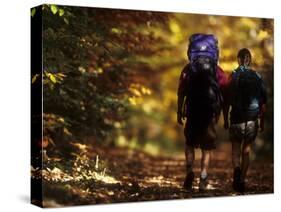Couple Hiking-null-Stretched Canvas