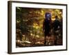 Couple Hiking-null-Framed Photographic Print