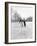 Couple Ice Skating-Philip Gendreau-Framed Photographic Print