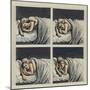 Couple in Bed, 2002-Evelyn Williams-Mounted Giclee Print