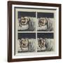 Couple in Bed, 2002-Evelyn Williams-Framed Giclee Print