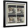 Couple in Bed, 2002-Evelyn Williams-Framed Giclee Print