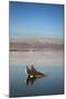 Couple in Healing Mud, Dead Sea, Israel-David Noyes-Mounted Photographic Print