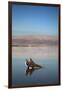 Couple in Healing Mud, Dead Sea, Israel-David Noyes-Framed Photographic Print