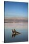 Couple in Healing Mud, Dead Sea, Israel-David Noyes-Stretched Canvas